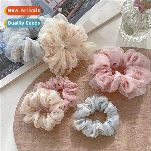 Summer new mesh sense pill head large intestine hair circle