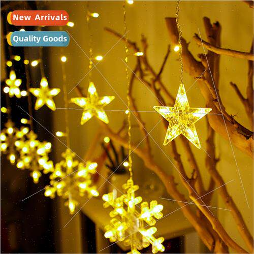 led Christmas snowflake lights 220v plug-in color lights str