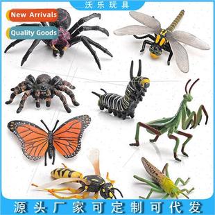 Animal Ornaments Model Tropical Solid Insect Toys Rainest