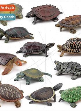Amphibian reptile turtle model real snapping turtles grass t