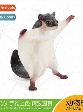 Wildlife model toys simulation flying squirrels flying squir