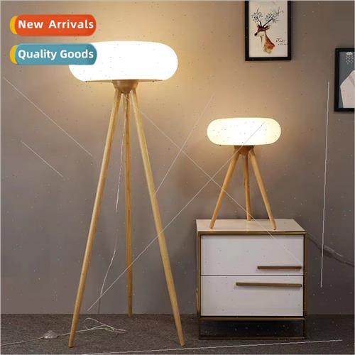 Scandinavian ins bedroom floor lamp living room design art v