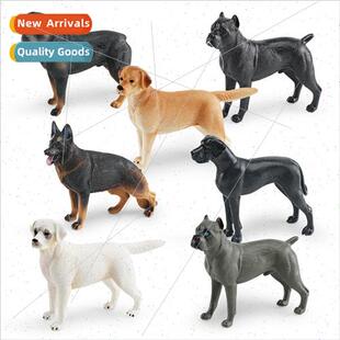 Pet dog model Great Dane Castor Husky Rottweiler Labrador de