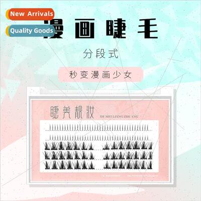 Lower Eyelash + Manga Fairy Eyelash ngle Cluster Segmented m