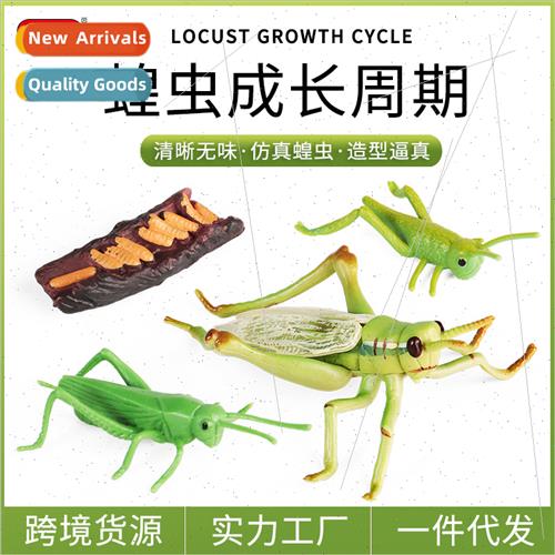 locusts butterflies ants frogs turtles mosquoes snails drago
