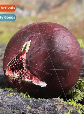 Early Learning Teaching Aids Toys Frus Vegetables Figs Food