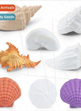 Marine life shell model salamander nautilus sdollar bone sna