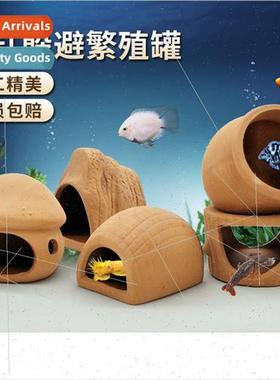 Fish aquarium aquascape alabaster clay pots hiding hole fish