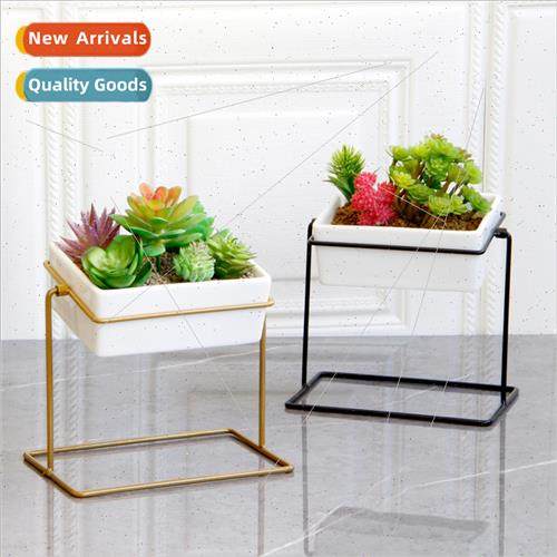 Creative desktop succulent plant pots can swing iron rectang