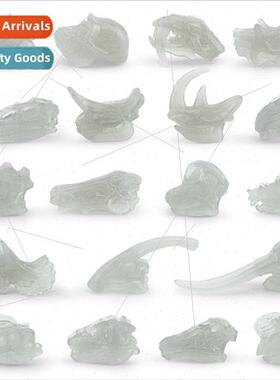 excavation simulation glow-in-the-dark skull model dinosaur
