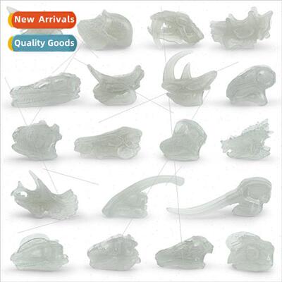 excavation simulation glow-in-the-dark skull model dinosaur