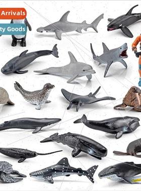 Marine animals humpback whale great whe shark walrus devil f