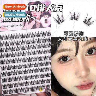 Canine false eyelashes round eye  light Europe cool thick bi