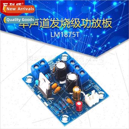 LM1875T Mono Audiophile Amplifier Board Speaker Amplifier pc