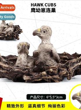 simulation animal model solid mini bird animal world eagle c