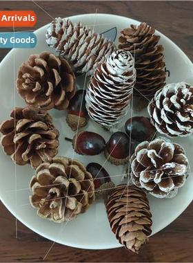 New Christmas e dyed whe pine cone decorations hanging creat