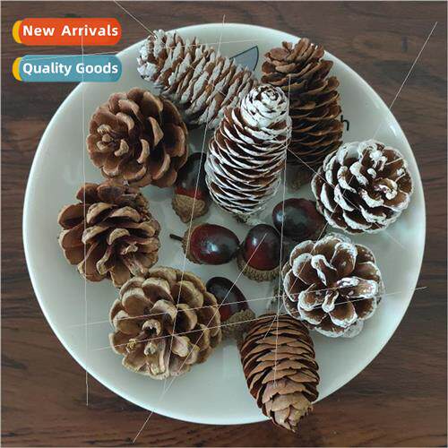 New Christmas e dyed whe pine cone decorations hanging creat