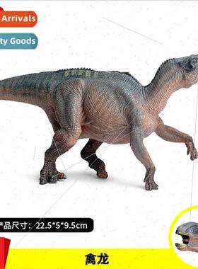 Dinosaur toys solid dinosaur model avian dragon Tyrannosauru