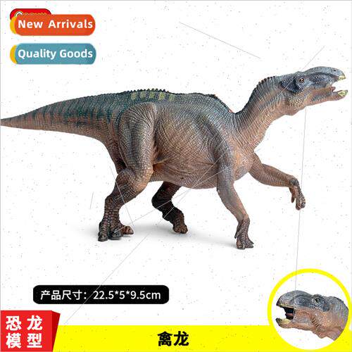 Dinosaur toys solid dinosaur model avian dragon Tyrannosauru