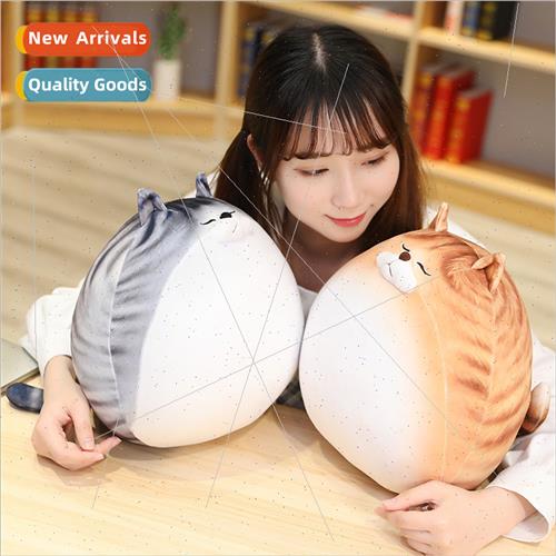 Japan kten egg cat doll doll plush toys bed sleep wh sleep b