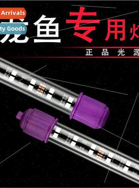 t8 diving light fish tank light led light red dragon fish li