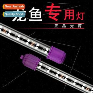 fish tank led dragon light red diving