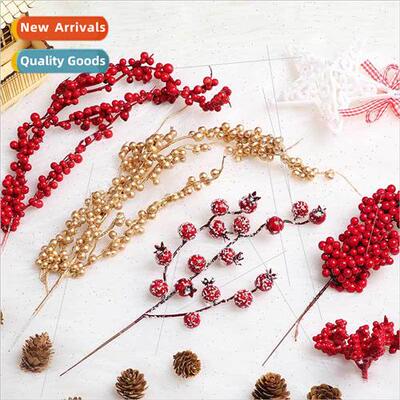 mulation red fru plug branch berries acacia beans Christmas