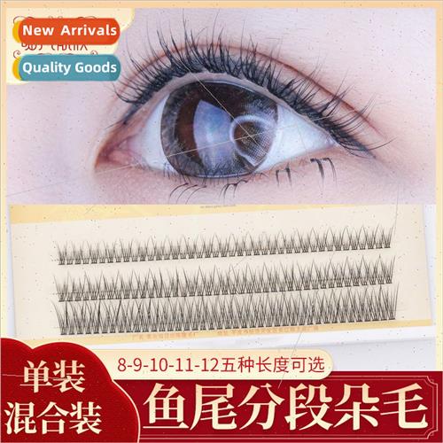 Fishtail False Eyelash Women Mixed Pack Swallowtail Segmente