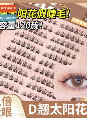 D cross sunflower false eyelashes 10 rows large volume  sing