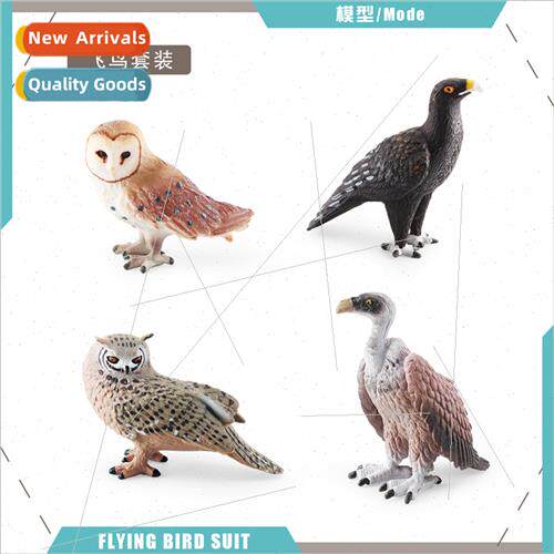 Wild Flying Birds Birds Animal Children Science Education Mo
