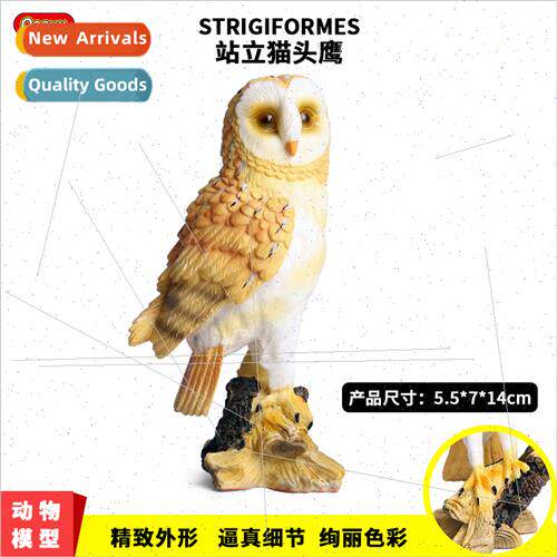 mulation animal birds birds prey eagle owl solid static wild