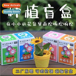 Indoor children planting potted plants blind box dig ah dig