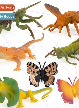 Animal model ornaments simulation spider grasshopper butterf