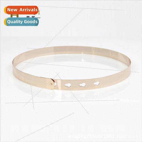 Europe Full Metal Belt Women Decoration Gold Waistband Dress