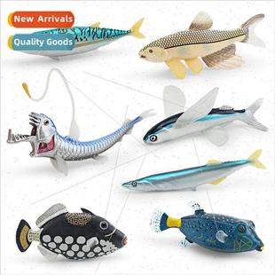 broadfin minnow clown life fish model canball swordfi animal