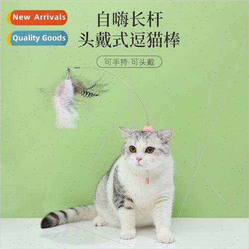 Pet toys head-mounted cat teaser wire feather accessories re