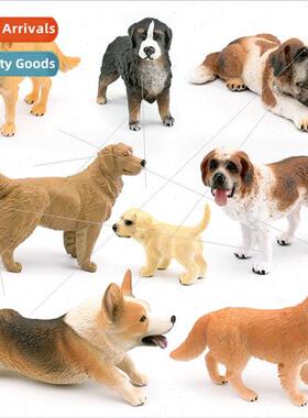 Dog Model Golden Retriever Bona Mountain Dog St. Bernard Sho