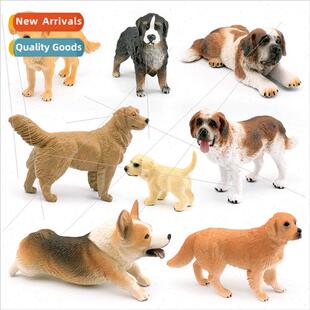 Dog Model Golden Retriever Bona Mountain Dog St. Bernard Sho