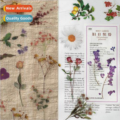 PET sticker pack Monets garden series plants handbook diary