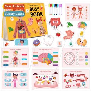book bookbusy human anatomyearly toy Children education busy