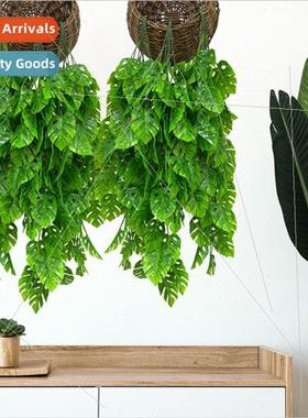 mulation plants turtleback bamboo wall hanging rattan green