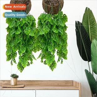 mulation plants turtleback bamboo wall hanging rattan green