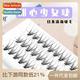 dohair girl eyelashes segmented single Teenage cluster