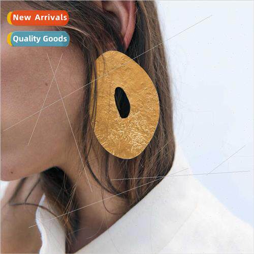 Creative geometric oval piece earrings fashion earrings ins