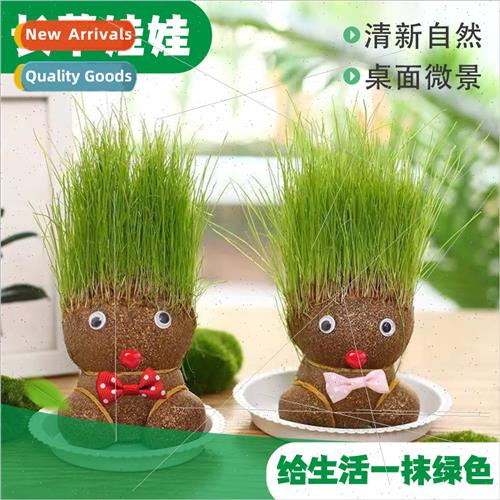 Grass head doll potted plants growing grass flowering childr