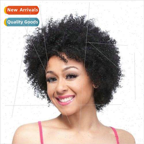 Europe Fashion Afro Wig Women Short Hair Small Curly Fluffy