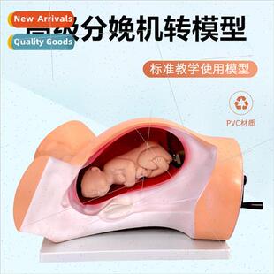 Model a rotating birthing machine Model a rotating birthing