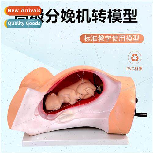 Model a rotating birthing machine Model a rotating birthing