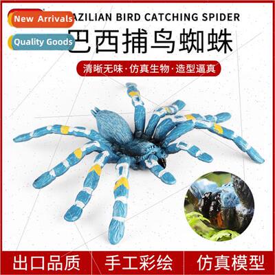 simulation animal insect model toys solid Brazilian bird spi
