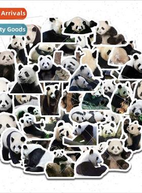 Cute Panda 50 Cultural Helmet Stickers Journal ggage Sticker